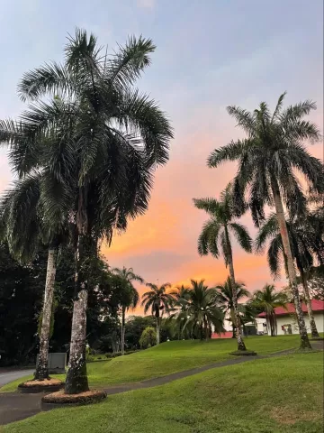 A sunset seen on campus