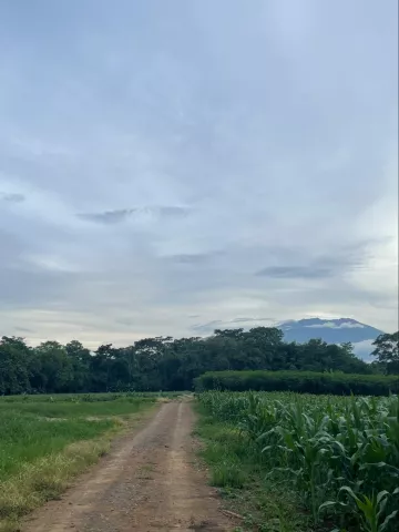 Views from a trail run through the fields.  Spot the volcano peeping out on the right!