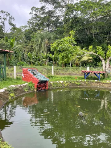 The center of a mandala garden, located on the campus’ organic farm.