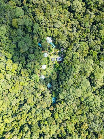 An aerial shot of the Osa Conservation Campus––we really are right in the middle of the rainforest!